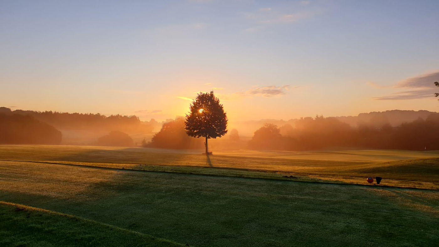 early-bird_11-7-20_004