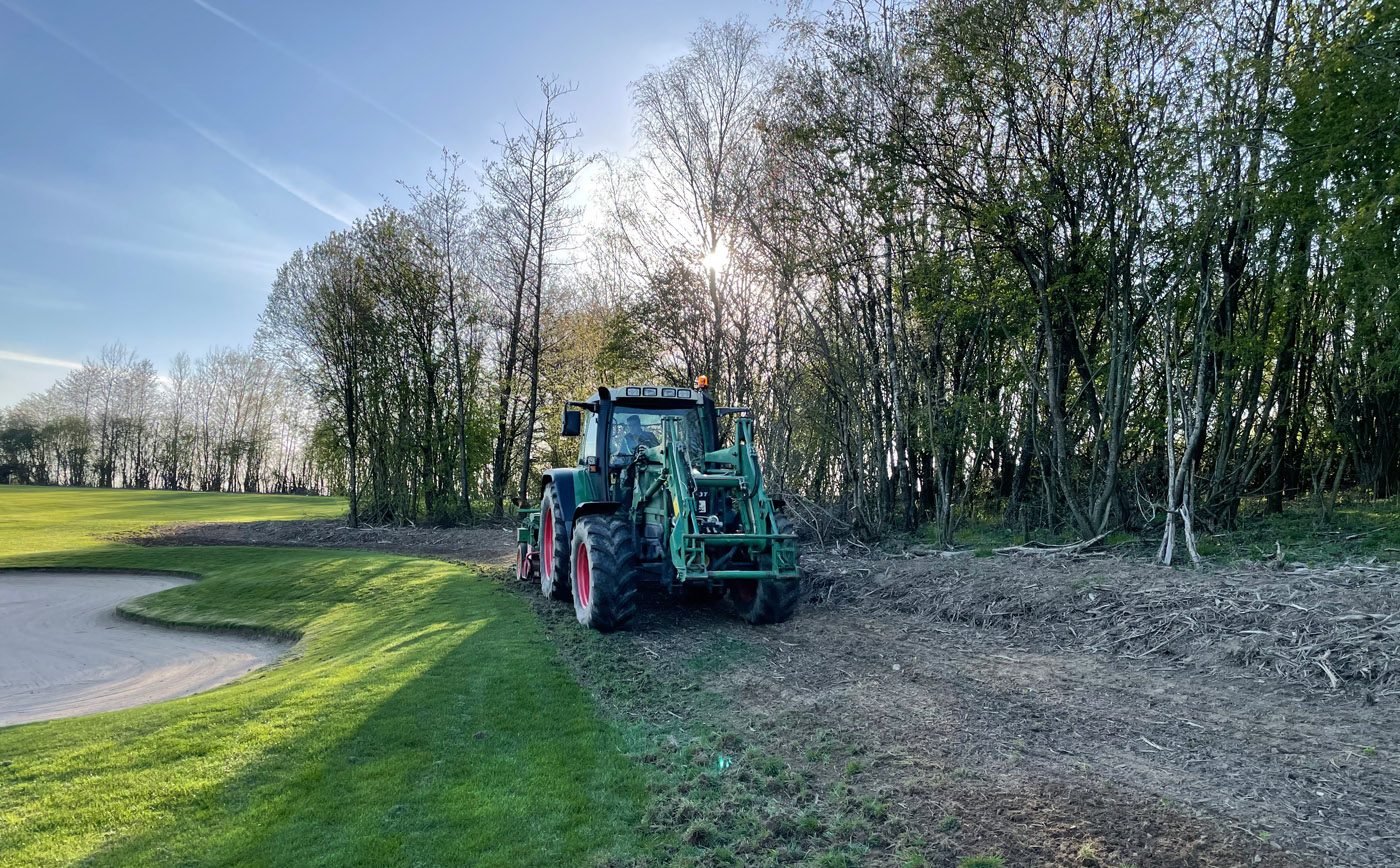 blumenwiese_bahn3_5-21_005