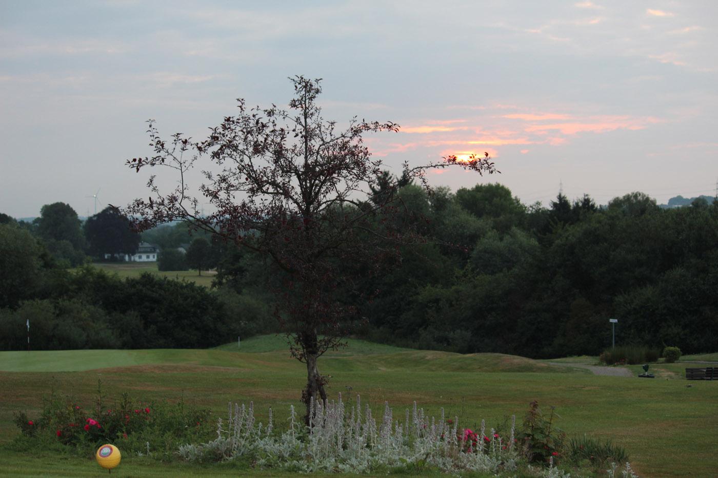 18loch-earlybird-22-7-23_20_2300