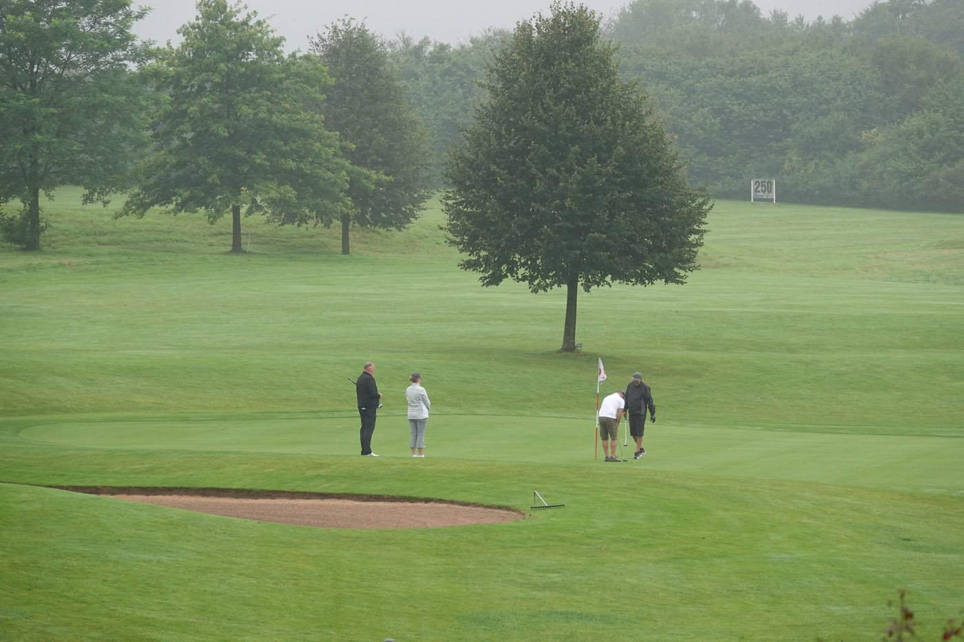 earlybird-4-8-24_03612